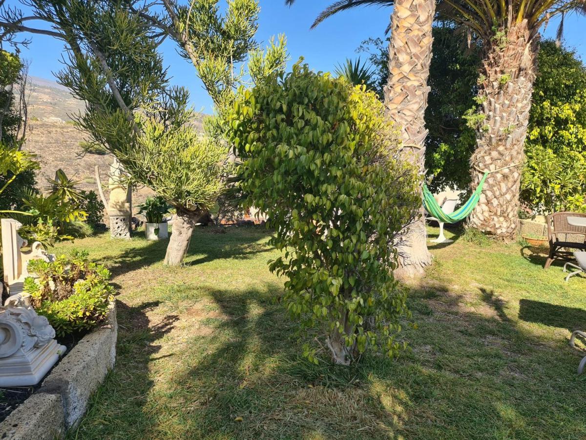 Finca Tropical Arico Viejo Bagian luar foto