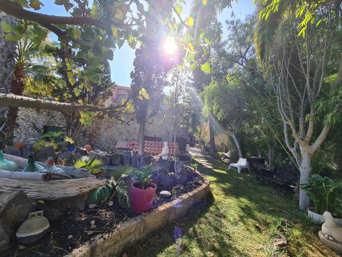 Finca Tropical Arico Viejo Bagian luar foto