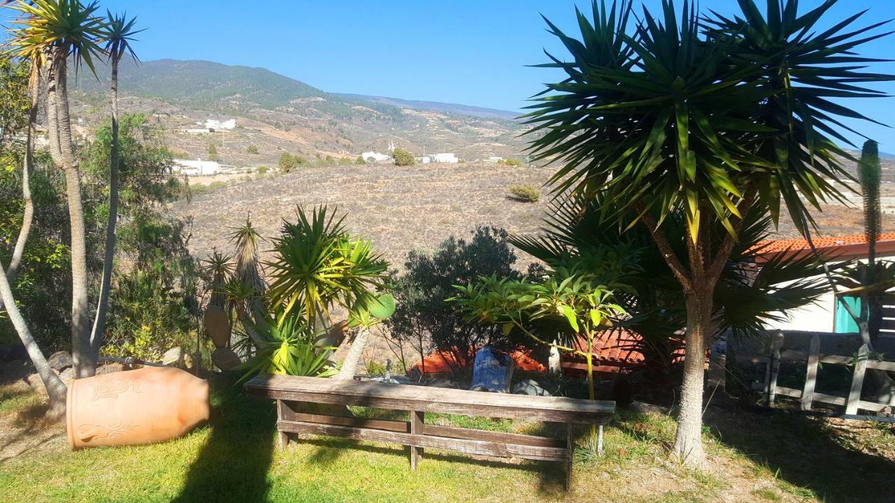 Finca Tropical Arico Viejo Bagian luar foto