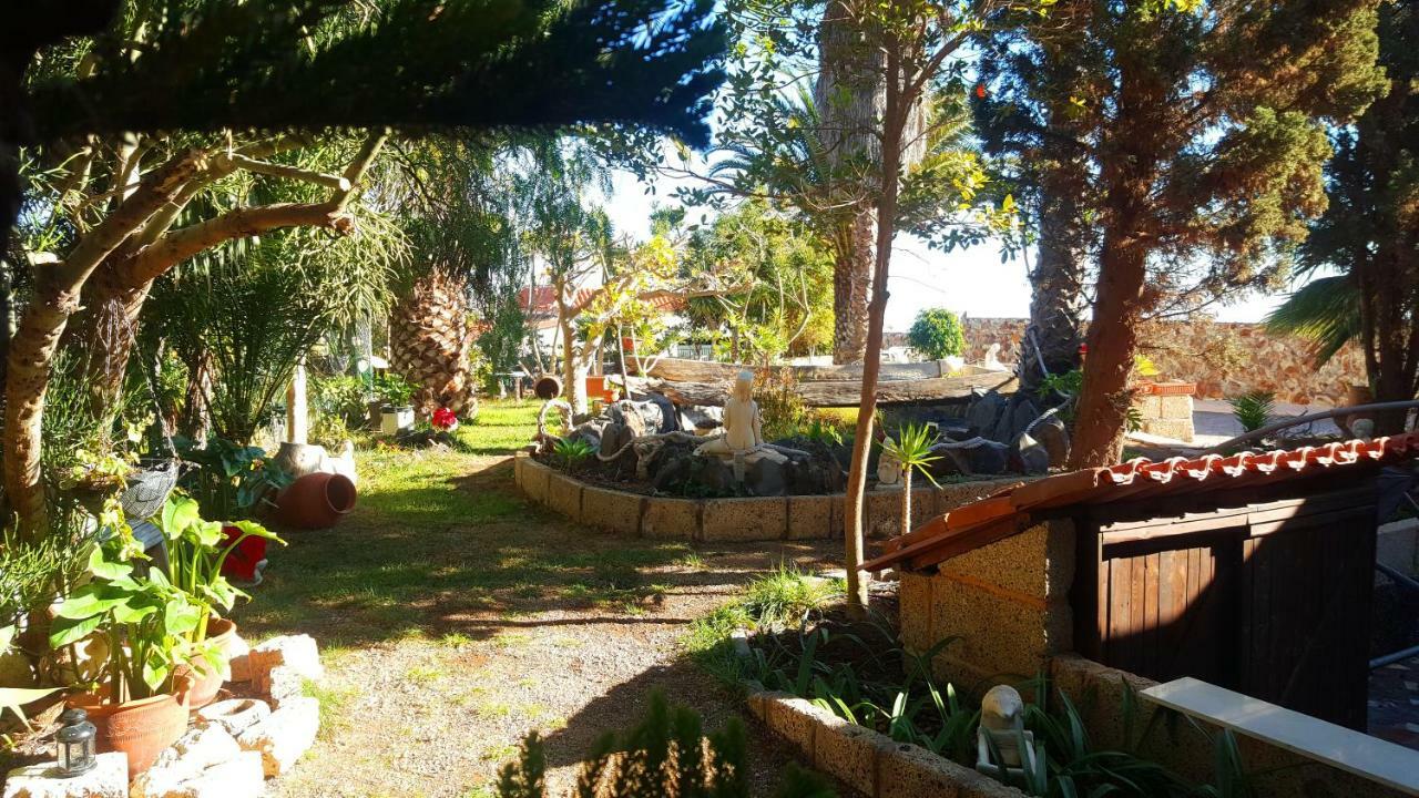 Finca Tropical Arico Viejo Bagian luar foto