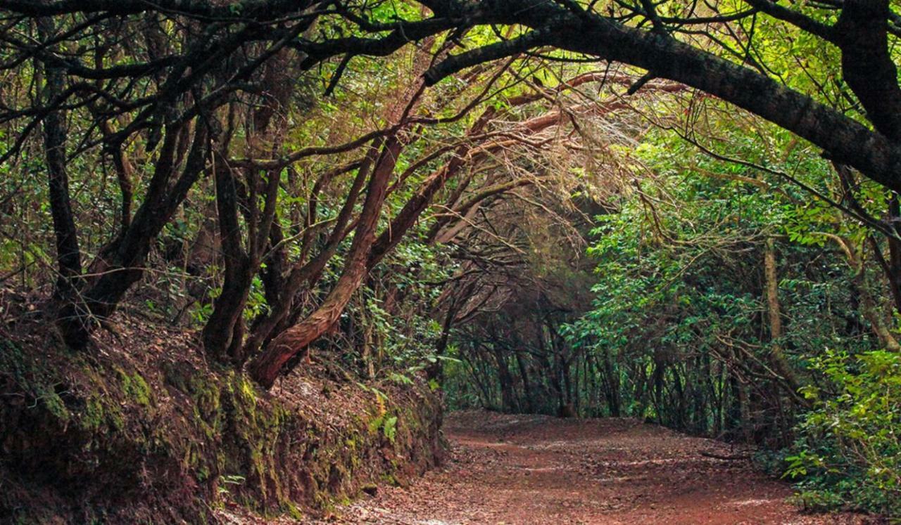 Finca Tropical Arico Viejo Bagian luar foto